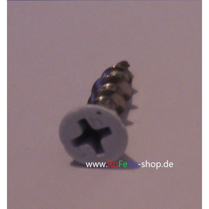 Beschlagsschraube 4,1 X 16 RAL 9016 100 Stück V2A