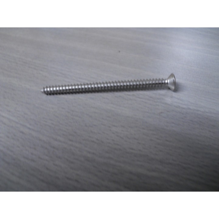 Senkblechschraube 4,8 X 70 A2 TX  10 Stück