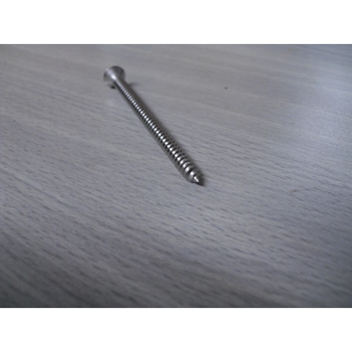 Senkblechschraube 4,8 X 70 A2 TX  10 Stück